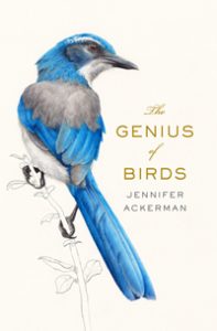 Image of genius of birds book cover with blue jay bird