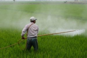 Image of man spraying herbicides